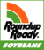 Rr_soybean_y2k_pms_c[1]_tiny